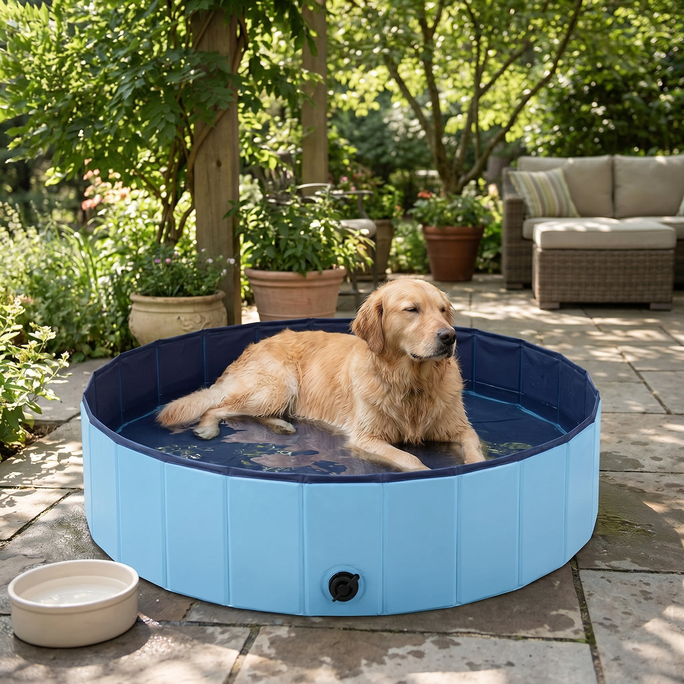 <p>Your dog isn’t being lazy. <strong>They need a cooler routine.</strong></p>